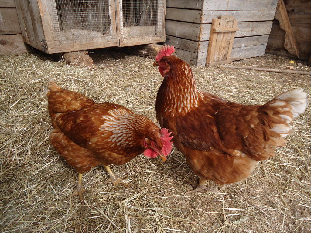 Kerschbamerhof Im Sueden Suedtirols Кортача Екстериор снимка