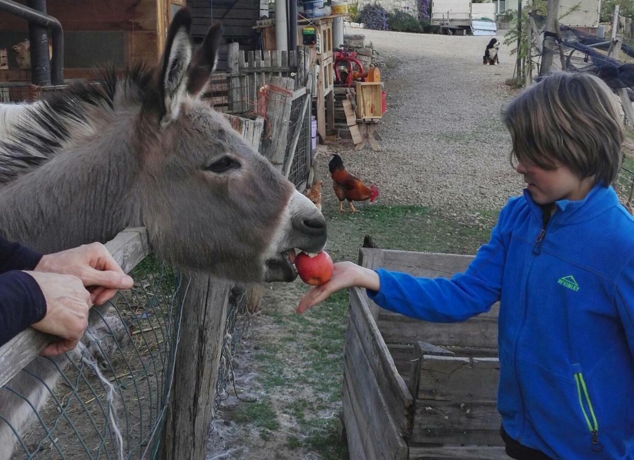Kerschbamerhof Im Sueden Suedtirols Кортача Екстериор снимка